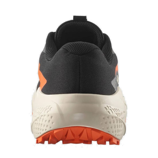 Salomon Alphaglide Salomon Alphaglide